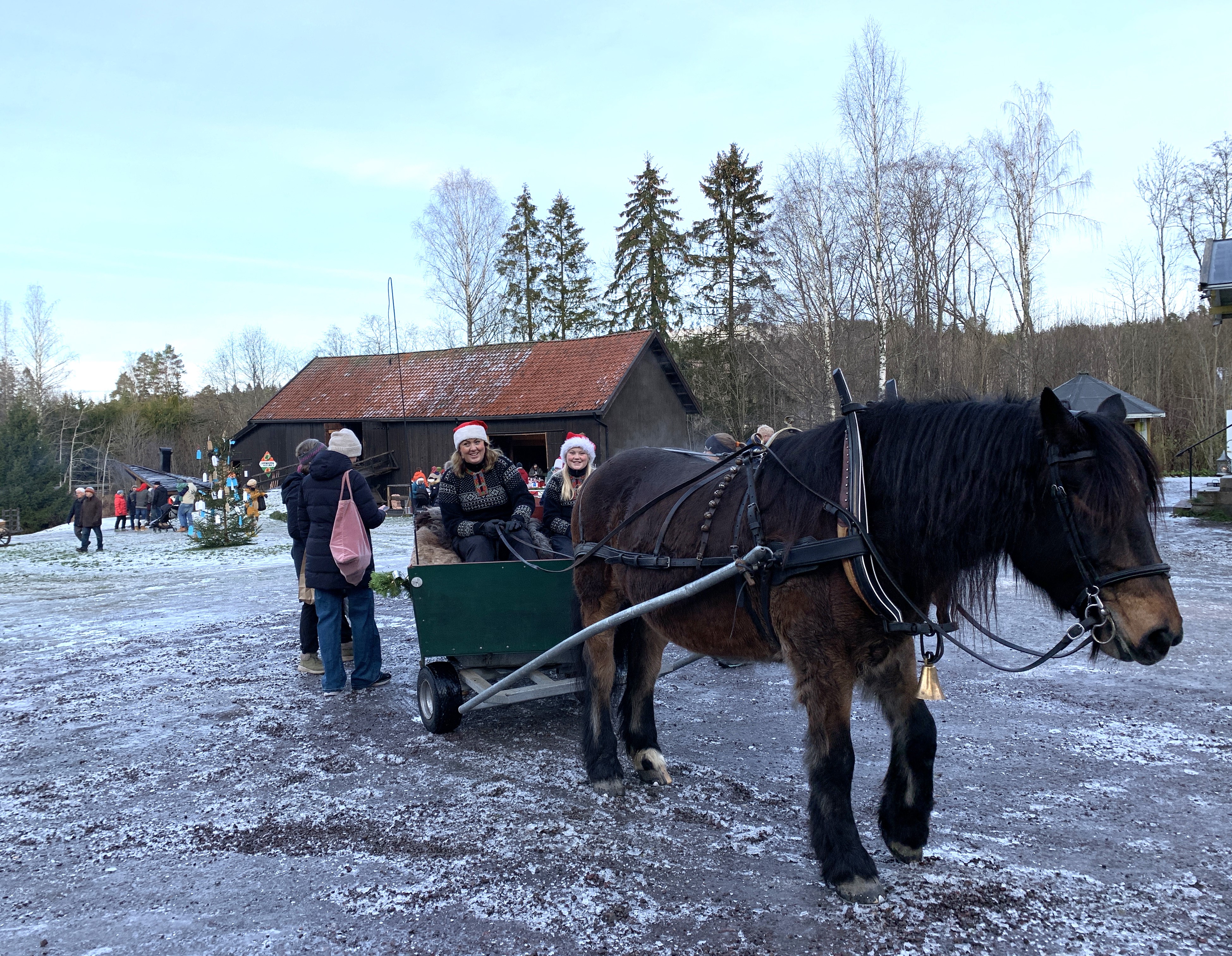 Artikkelbilde til artikkelen "Jul med din Glede"